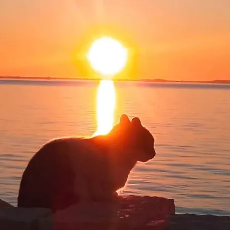 Fino Апартаменты Mykonos Town