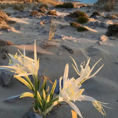 Апартаменты Fino Mykonos Town