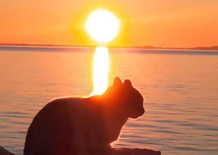 Fino Appartement Mykonos Town