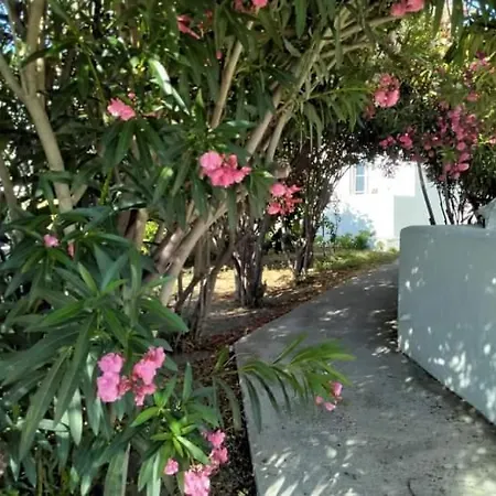 Apartamento Fino Megali Ammos (Mykonos)