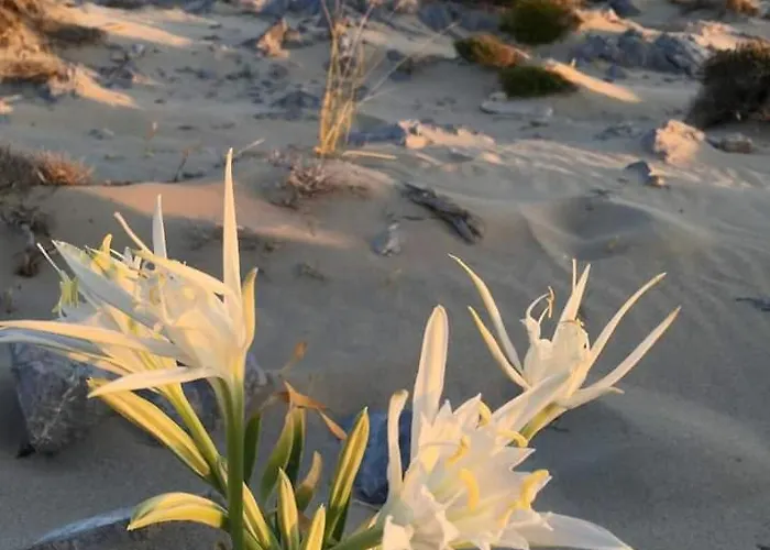 Апартаменты Fino Mykonos Town